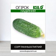Насіння огірка Надійний, 100г